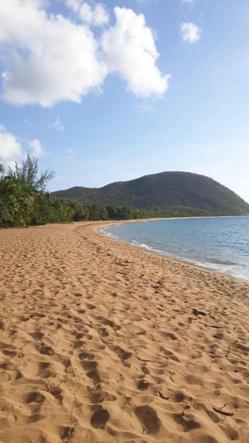 Maison Grande Anse Deshaies Exterior photo